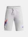 Under Armour UA Project Rock Terry Kindershorts
