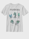 ZOOT.Fan Twentieth Century Fox Pandora Flora Sketches Kinder  T‑Shirt